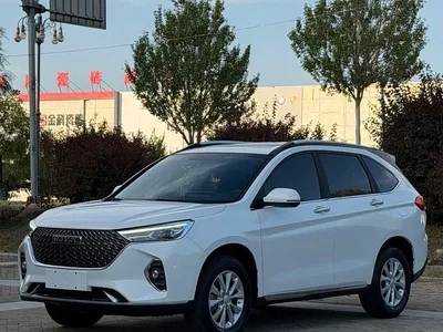 2021 Haval M6 PLUS 1.5T DCT Luxury Smart Connect, фото 1, лот 10812905