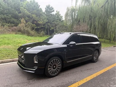 2025 NIO ES8 Model 6-Seat Executive Luxury Edition, фото 1, лот 11214990