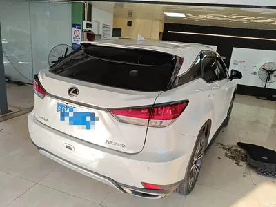 2020 Lexus RX 300 4WD Elegance Edition China VI, фото 4, лот 11582247