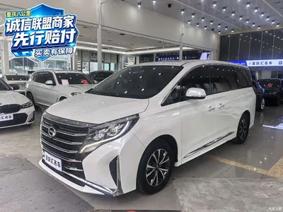 2023 GAC Trumpchi Trumpchi M8 Leading Series 390T Premium Edition, фото 1, лот 11205735