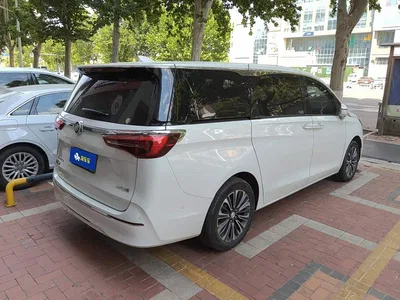 2020 Buick GL8 Model ES Landglory 653T Luxury, фото 3, лот 10684381