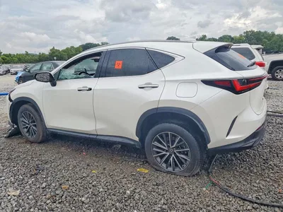 2023 LEXUS NX 350, фото 2, лот 10669731