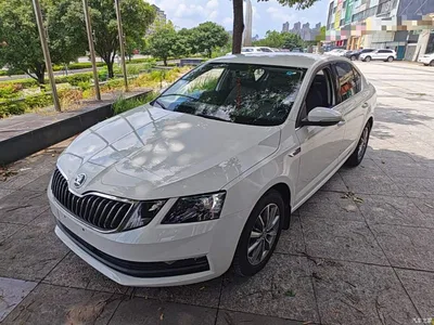 2019 Škoda Octavia 1.5L Automatic Smart Comfort Edition China V, фото 1, лот 10347982