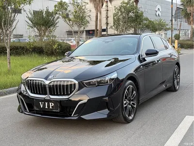 2024 BMW 5 Series 530Li Leading M Sport Package, фото 1, лот 10954855