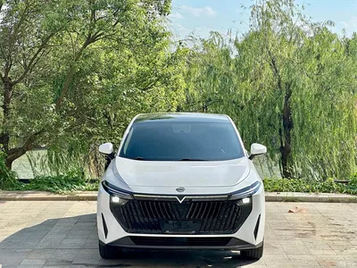 2023 Venucia DaV DD-i Model 60km iD Joy Ride Edition, фото 2, лот 11153897