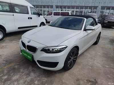 2018 BMW 2 Series (Import) 220i Convertible Coupe Sport Design Package, фото 1, лот 11224841