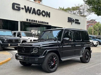 2020 Mercedes-Benz G-Class G 500 Dark Night Special Edition, фото 1, лот 11131927