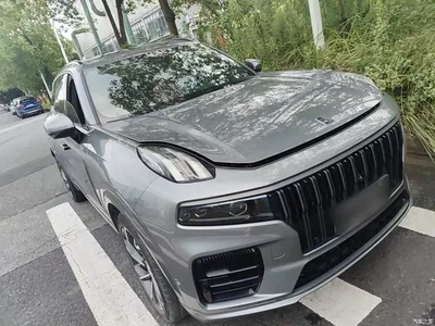 2021 Lynk & Co 09 2.0T Halo 6-Seater, фото 4, лот 10317742