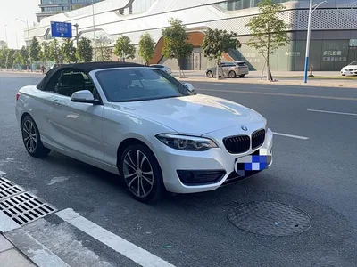 2019 BMW 2 Series (Import) 225i Convertible Coupe Sport Design Package, фото 3, лот 10471397