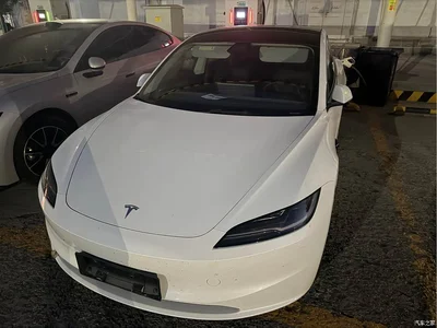 2023 Tesla Model 3 Long Range All-Wheel Drive, фото 2, лот 10450502
