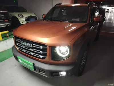2021 Haval Big Dog 1.5T DCT 2WD Border Collie - Wangcai Edition, фото 2, лот 10387169