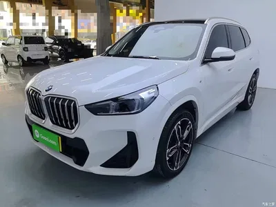 2023 BMW X1 sDrive25Li M Sport Package, фото 1, лот 10666948