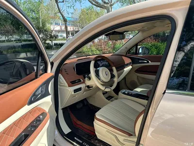 2022 Ora Good Cat 400km Standard Range Luxury LFP, фото 4, лот 10332205
