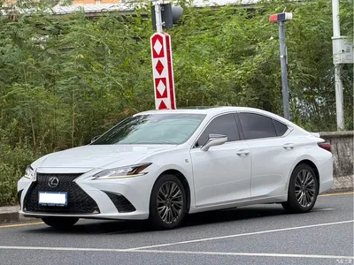 2018 Lexus ES 260 F SPORT (China V), фото 1, лот 11415109