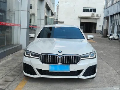 2021 BMW 5 Series 530Li Premium M Sport Package, фото 2, лот 10768750