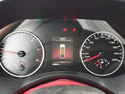 2021 Great Wall Pao 2.0T Commercial Edition Manual Diesel 2WD Elite Long Box GW4D20M, фото 4, лот 10248891