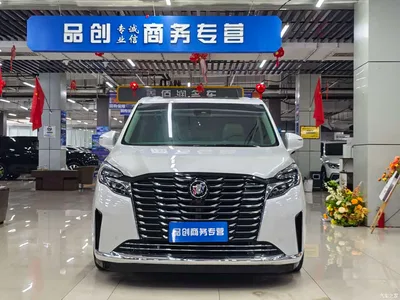 2023 Buick GL8 ES Landmaster Exclusive, фото 2, лот 11181629