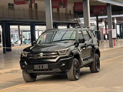 2023 Tank 400 New Energy Hi4-T Super Edition, фото 1, лот 10344810