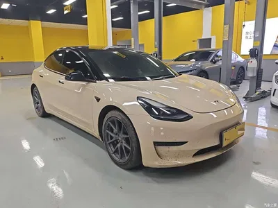 2021 Tesla Model 3 Standard Range Rear-Wheel Drive Upgrade 3D6, фото 3, лот 10368514