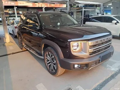 2024 Haval Big Dog 1.5T DCT Border Collie Edition, фото 4, лот 10361509