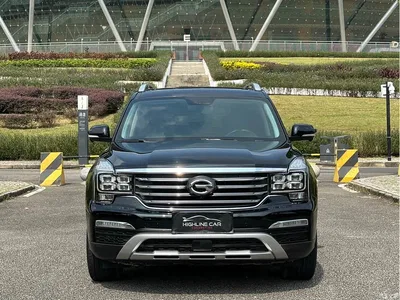 2017 GAC Trumpchi Trumpchi GS8 320T 2WD Luxury Smart Connect (7-seater), фото 2, лот 11179081