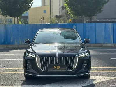 2023 Hongqi H5 2.0T Auto Smart Connect Flag Comfort, фото 2, лот 10288636