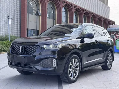 2020 WEY VV6 2.0T 2WD Smart Protection+, фото 1, лот 10452325