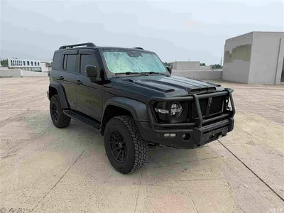 2021 Tank 300 Off-road Version 2.0T Conqueror, фото 3, лот 10435095