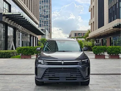 2022 AITO Wenjie AITO M7 1.5T AWD Luxury Edition, фото 2, лот 11023331