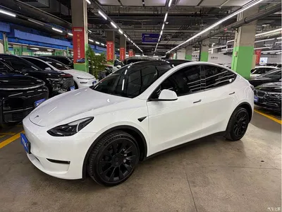 2021 Tesla Model Y Long Range All-Wheel Drive 3D7, фото 1, лот 11002619