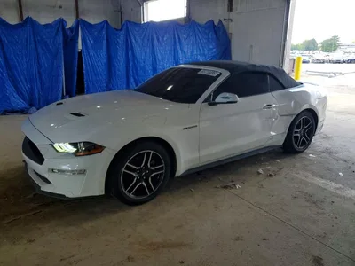 2019 FORD MUSTANG, фото 1, лот 10572596