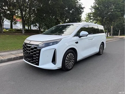 2025 BYD Xia DM-i 1.5T 100km Surpass Edition, фото 1, лот 10253841