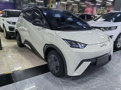 2024 BYD Seagull Glory Edition 305km Vitality Edition, фото 3, лот 10838569