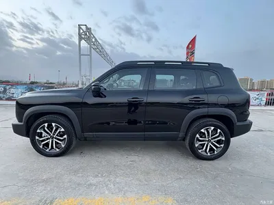 2024 Haval Big Dog 2.0T DCT Chinese Rural Dog Edition, фото 4, лот 11527714