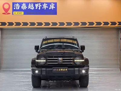 2023 Tank 300 Urban Edition 2.0T Very Stylish, фото 2, лот 10356926