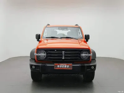 2021 Tank 300 Off-road Version 2.0T Conqueror, фото 3, лот 10344233