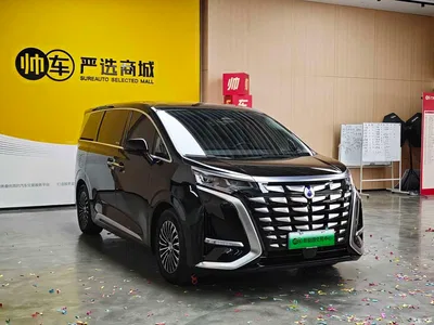 2024 Denza D9 DM-i 980 AWD Prestige, фото 3, лот 10450128