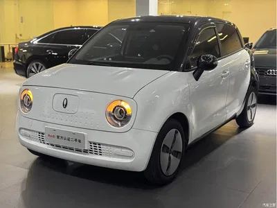 2019 Ora Black Cat 301km Standard, фото 1, лот 11206284