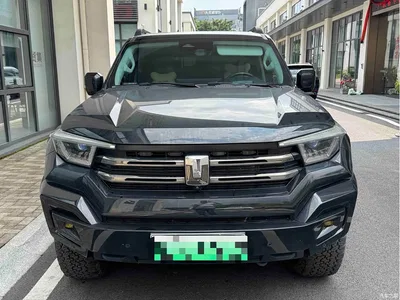 2024 Tank 400 New Energy Hi4-T Off-Road Edition, фото 2, лот 10455735