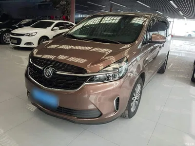 2020 Buick GL8 Model Land Business Class 652T Comfort, фото 1, лот 11567738