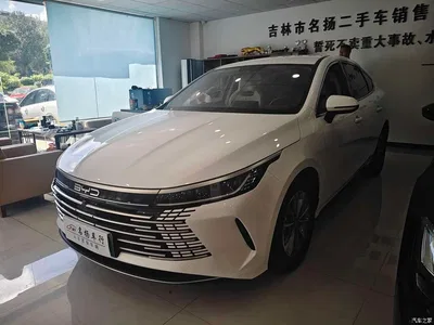 2024 BYD Destroyer 05 DM-i 55KM Pilot Glory Edition, фото 1, лот 10254534