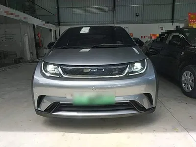 2023 BYD Dolphin 420km Fashion Edition, фото 3, лот 10264141