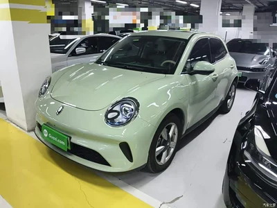 2025 Ora Good Cat Model 430km Luxury, фото 1, лот 11408631