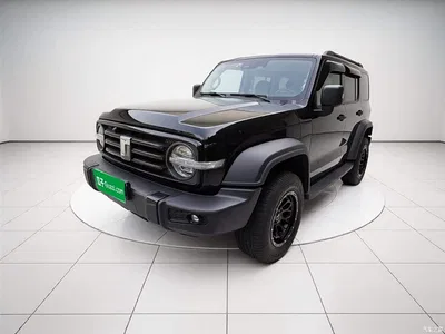 2021 Tank 300 Off-road Version 2.0T Conqueror, фото 1, лот 10345549