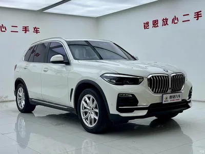 2019 BMW X5 (Import) xDrive40i M Sport Package, фото 3, лот 10463662