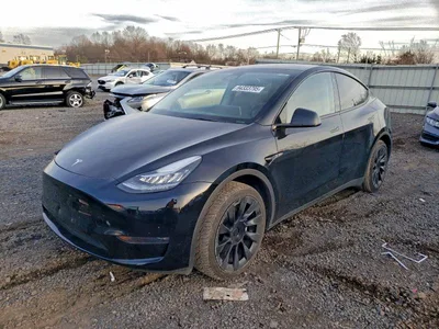 2023 TESLA MODEL Y, фото 1, лот 10857300