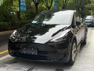 2021 Tesla Model Y Standard Range Rear-Wheel Drive, фото 1, лот 11531755