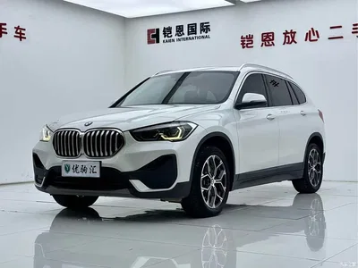 2020 BMW X1 sDrive25Li Leading Model, фото 1, лот 11198672