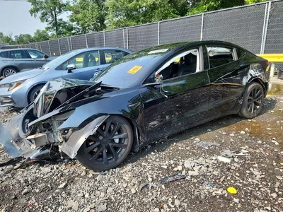 2023 TESLA MODEL 3, фото 1, лот 10852600