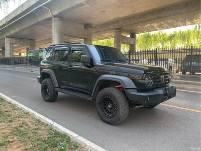 2021 Tank 300 Off-road Version 2.0T Conqueror, фото 3, лот 10344785